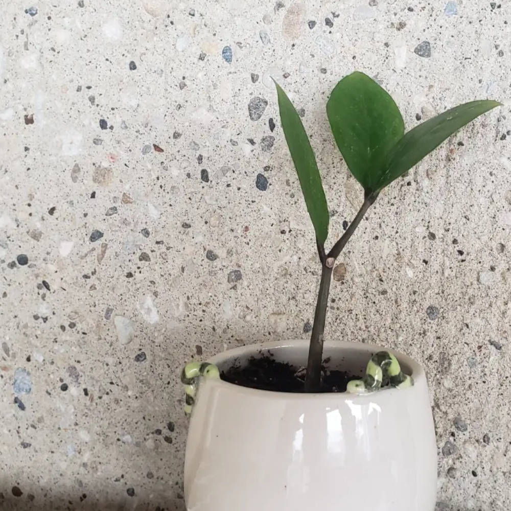 Handmade Inchworm Pot